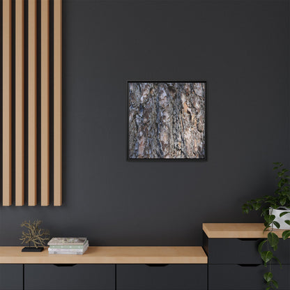 Weathered Patterns - Unique Stretched Canvas Wall Art - Art By Earth