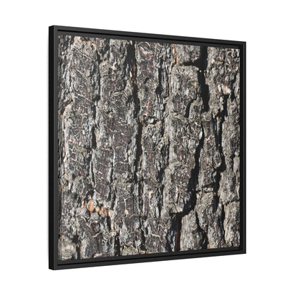 Bark Study in Gray - Unique Stretched Canvas Wall Art - Art By Earth