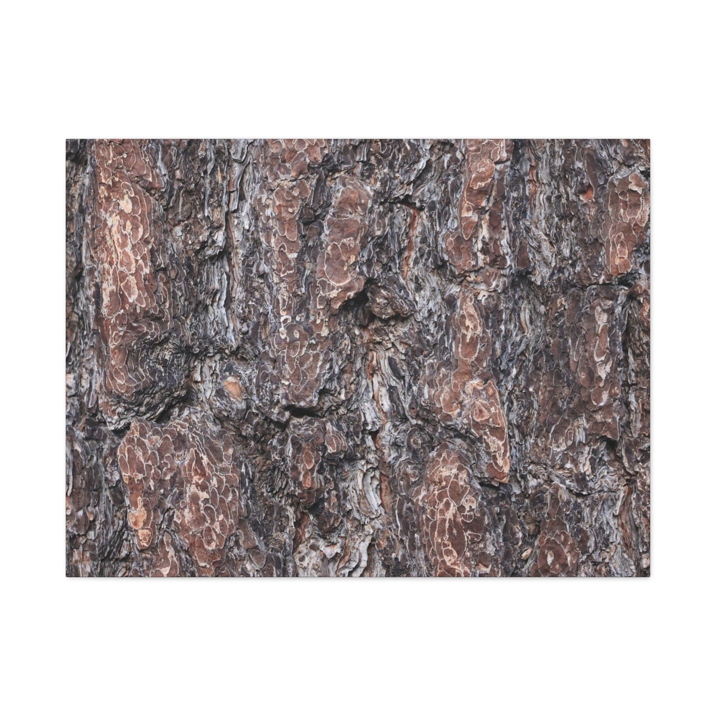 Textured Whispers of an Ancient Tree - Unique Frameless Canvas Wall Art