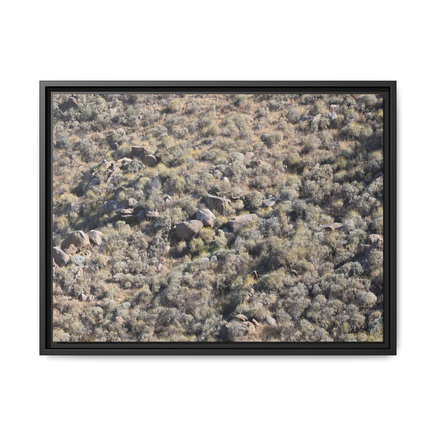 Arid Terrain Study - Unique Stretched Canvas Wall Art - Art By Earth