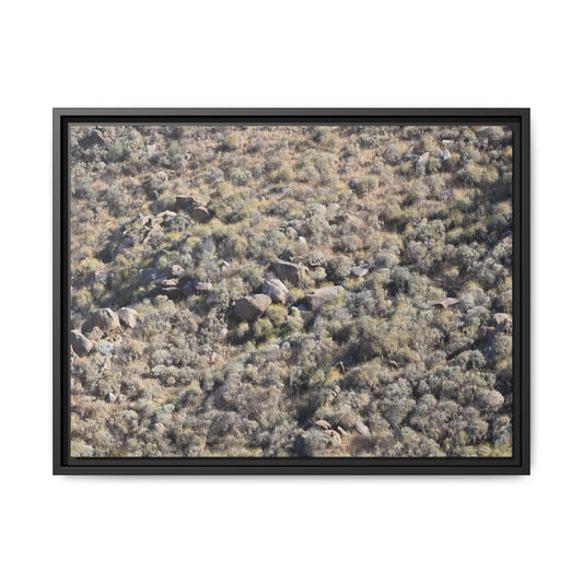Arid Terrain Study - Unique Stretched Canvas Wall Art - Art By Earth