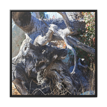 Resilient Roots - Unique Stretched Canvas Wall Art - Art By Earth