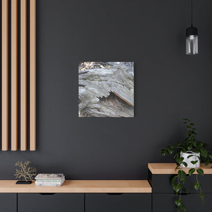 Whispers of Ancient Wood - Unique Frameless Canvas Wall Art - Art By Earth