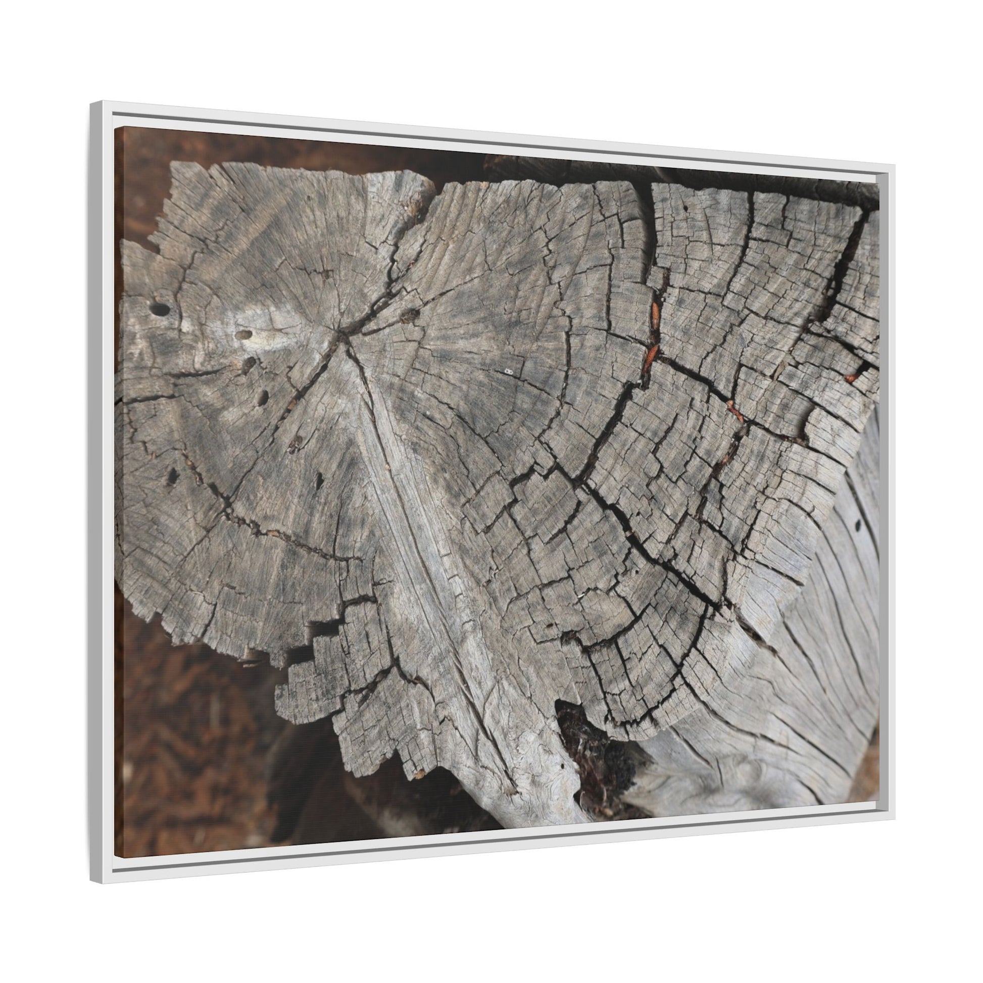 Time's Signature - Unique Stretched Canvas Wall Art - Art By Earth