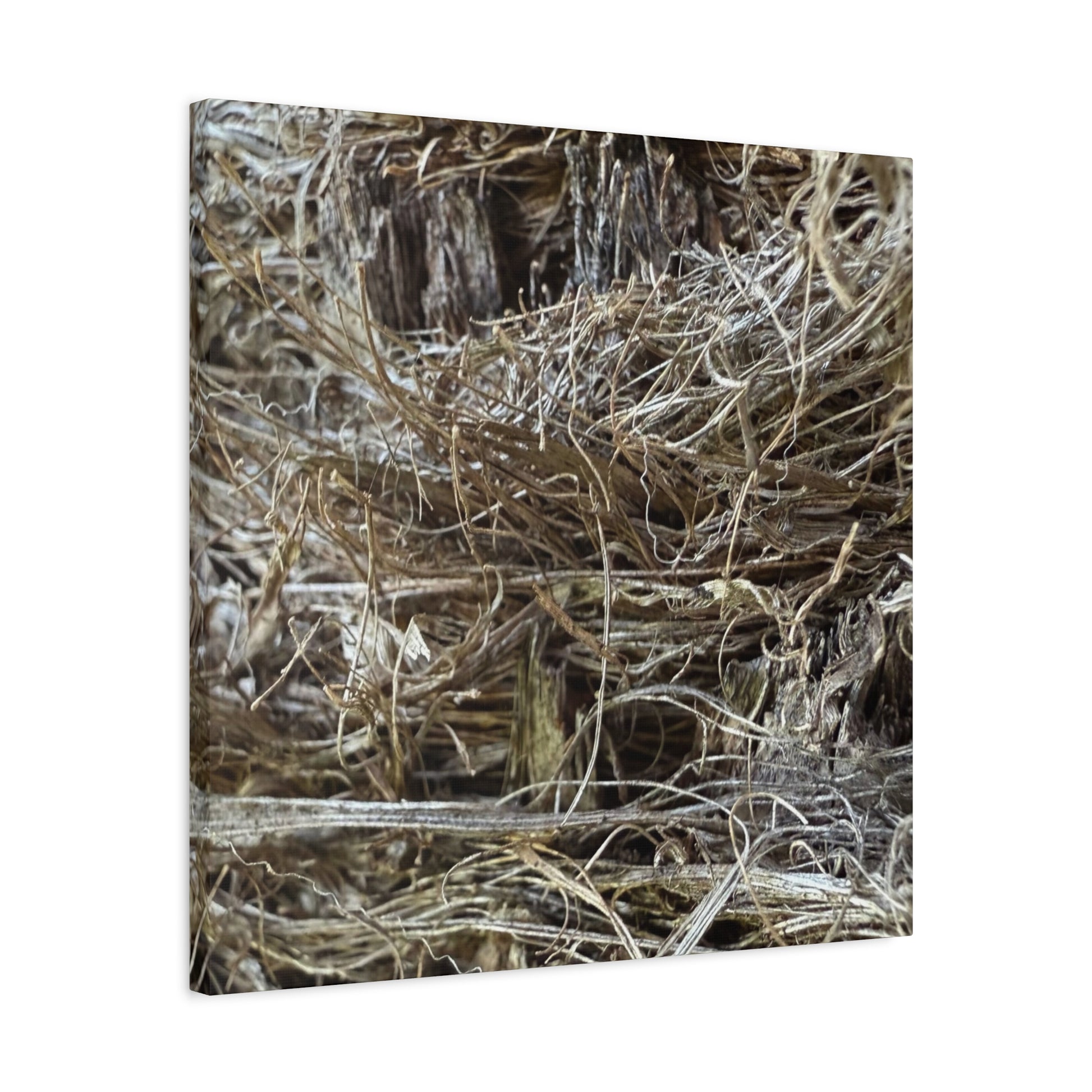 Whispers in Dry Grass - Unique Frameless Canvas Wall Art - Art By Earth