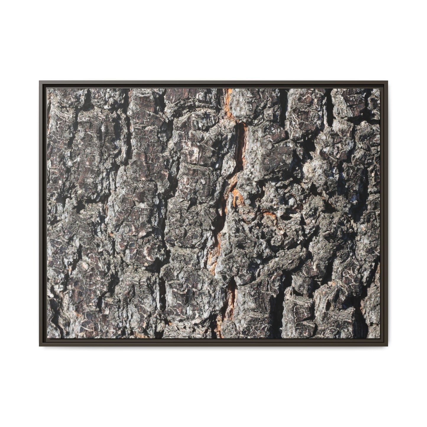 Aged Beauty - Unique Stretched Canvas Wall Art - Art By Earth