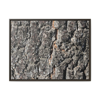 Aged Beauty - Unique Stretched Canvas Wall Art - Art By Earth