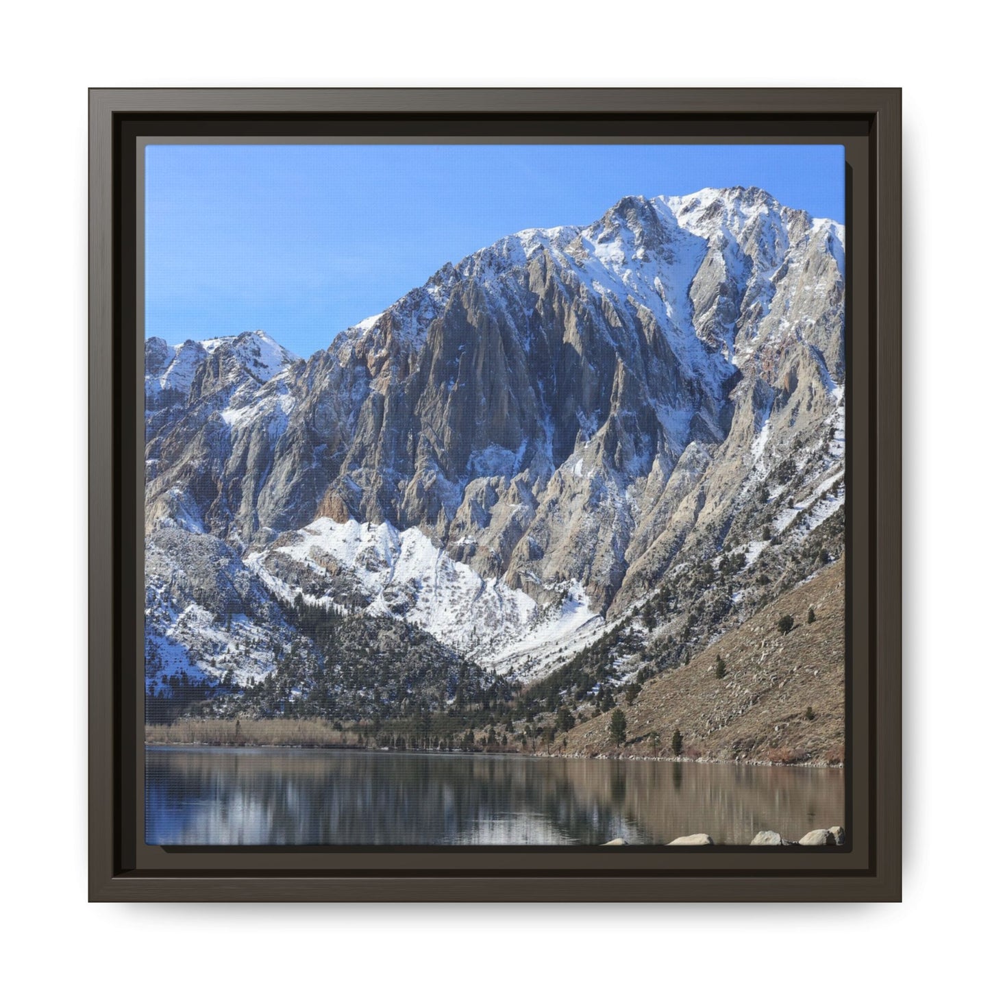 Frozen Reflection - Unique Stretched Canvas Wall Art