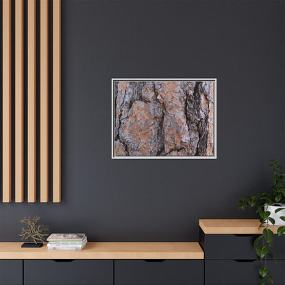 Tree Skin Symphony - Unique Stretched Canvas Wall Art - Art By Earth