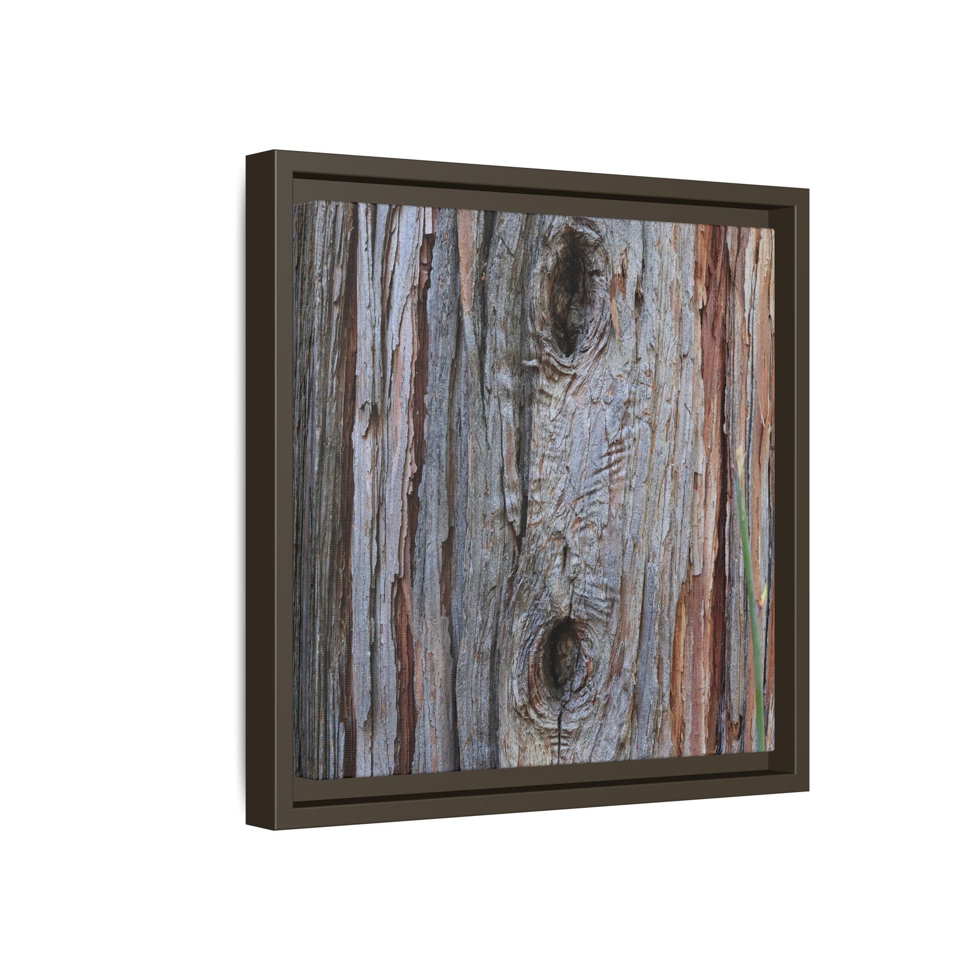 Knotty Nature - Unique Stretched Canvas Wall Art - Art By Earth