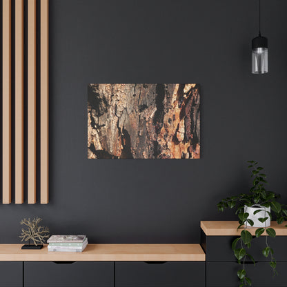 Wooden Terrain - Unique Frameless Canvas Wall Art - Art By Earth