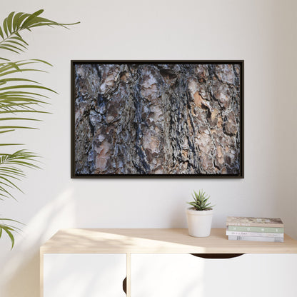 Weathered Patterns - Unique Stretched Canvas Wall Art - Art By Earth