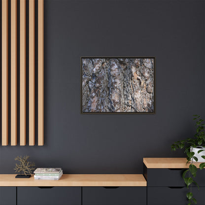 Weathered Patterns - Unique Stretched Canvas Wall Art - Art By Earth