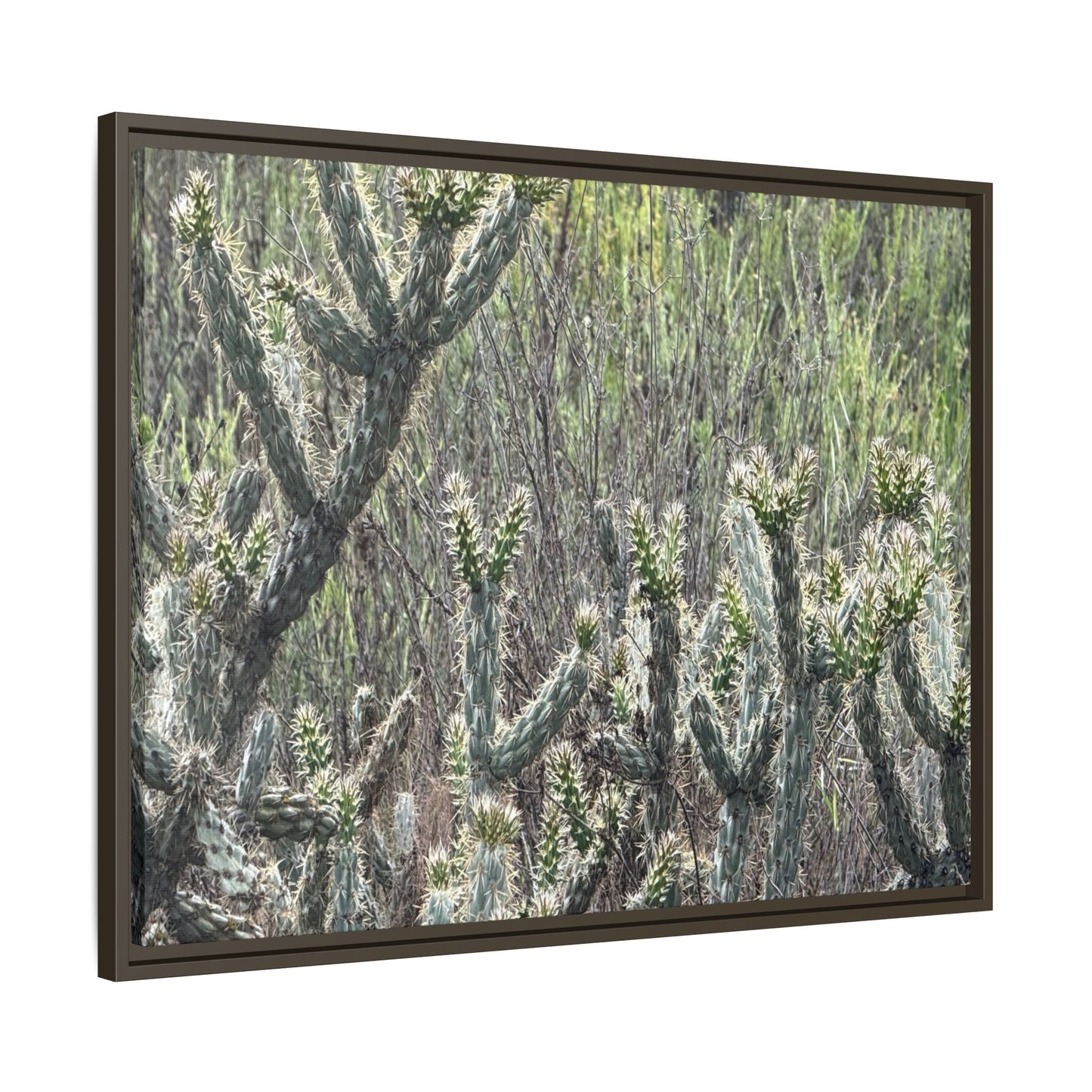 Prickly Paradise - Unique Stretched Canvas Wall Art - Art By Earth