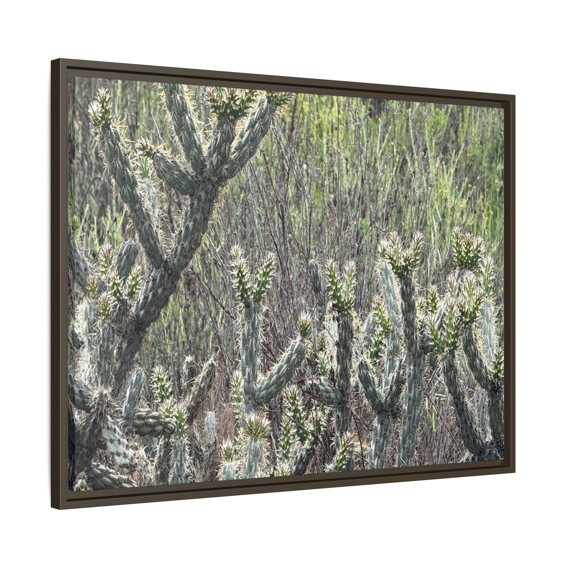 Prickly Paradise - Unique Stretched Canvas Wall Art - Art By Earth