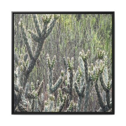 Prickly Paradise - Unique Stretched Canvas Wall Art - Art By Earth