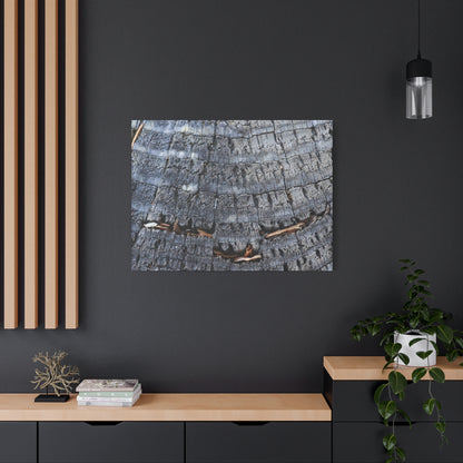 Time's Fractal Whispers - Unique Frameless Canvas Wall Art - Art By Earth