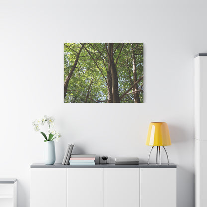 Canopy of Light - Unique Frameless Canvas Wall Art