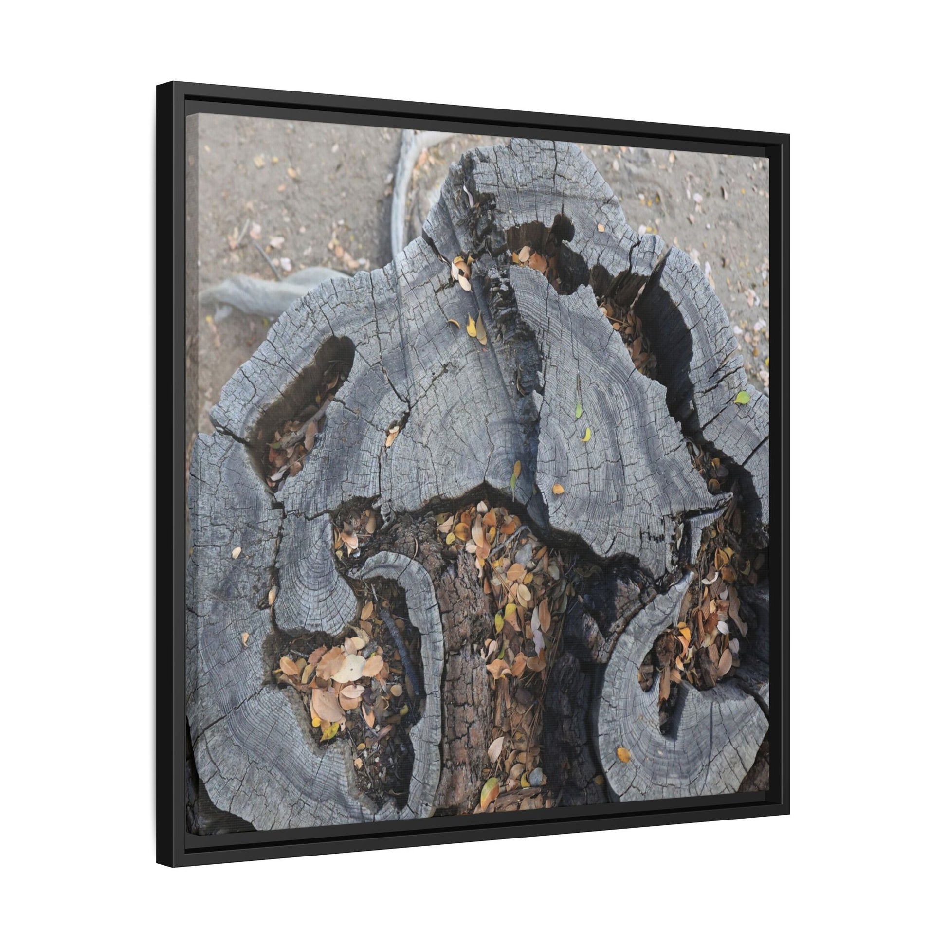 Time's Fractal Memory - Unique Stretched Canvas Wall Art - Art By Earth