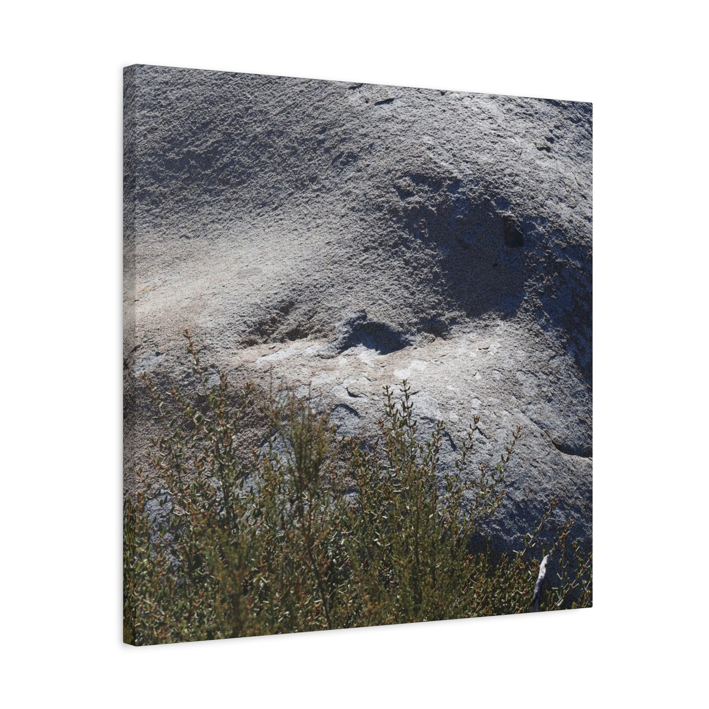 Stone Face in Nature - Unique Frameless Canvas Wall Art