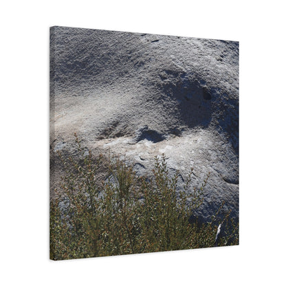 Stone Face in Nature - Unique Frameless Canvas Wall Art