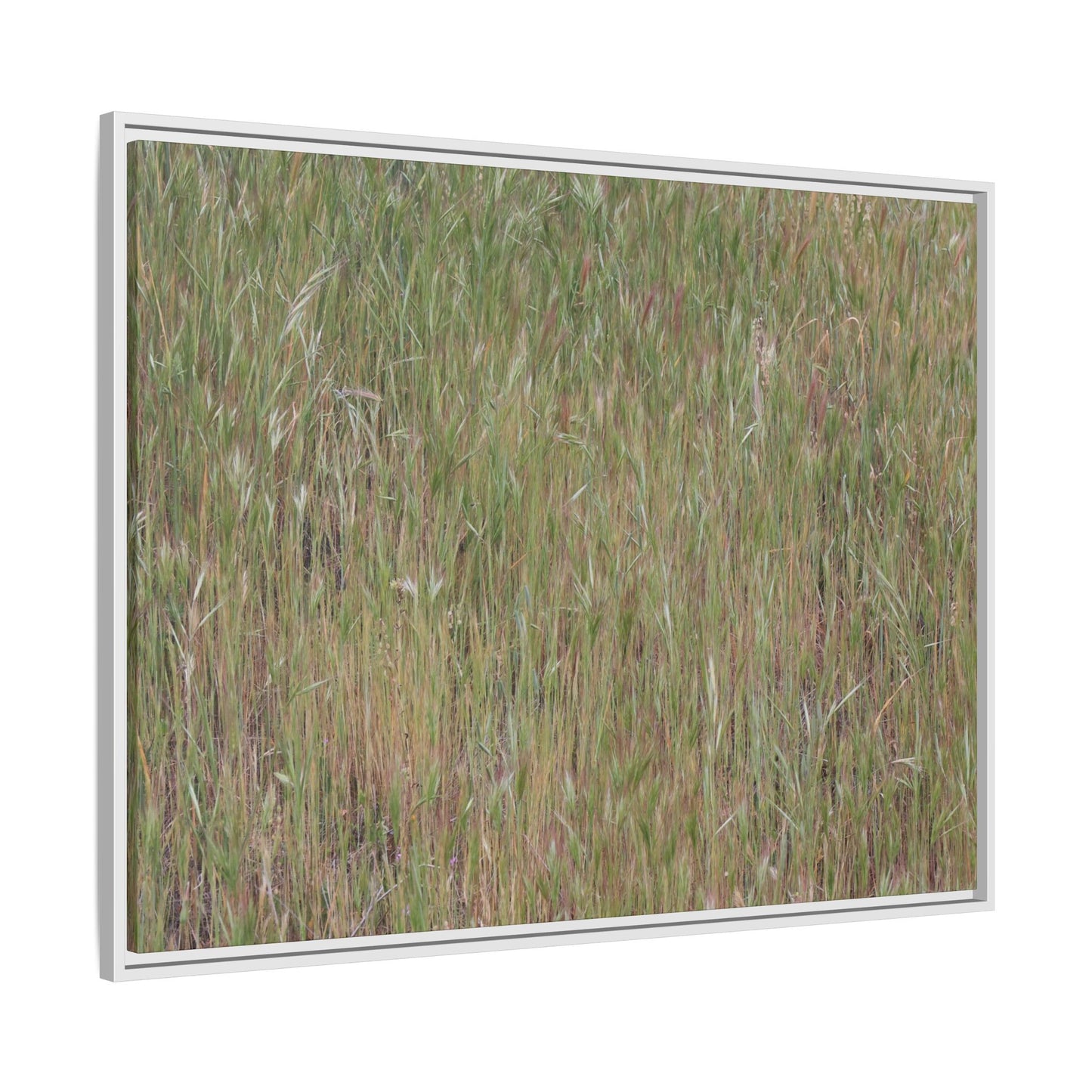 Field of Dreams - Unique Stretched Canvas Wall Art - Art By Earth