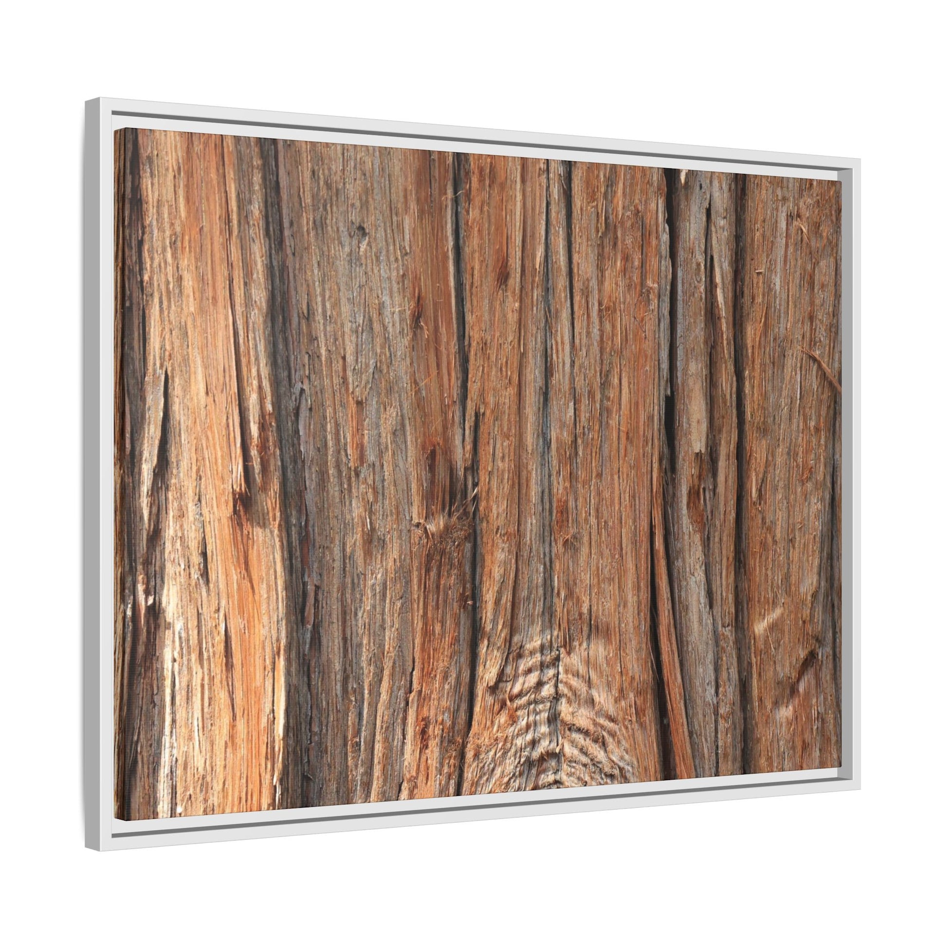 Echoes of Timber - Unique Stretched Canvas Wall Art - Art By Earth