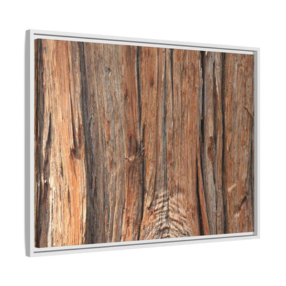 Echoes of Timber - Unique Stretched Canvas Wall Art - Art By Earth