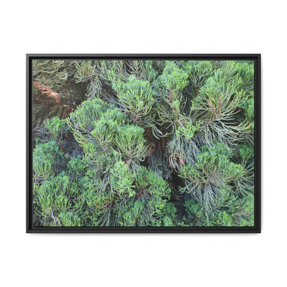 Verdant Whispers - Unique Stretched Canvas Wall Art - Art By Earth