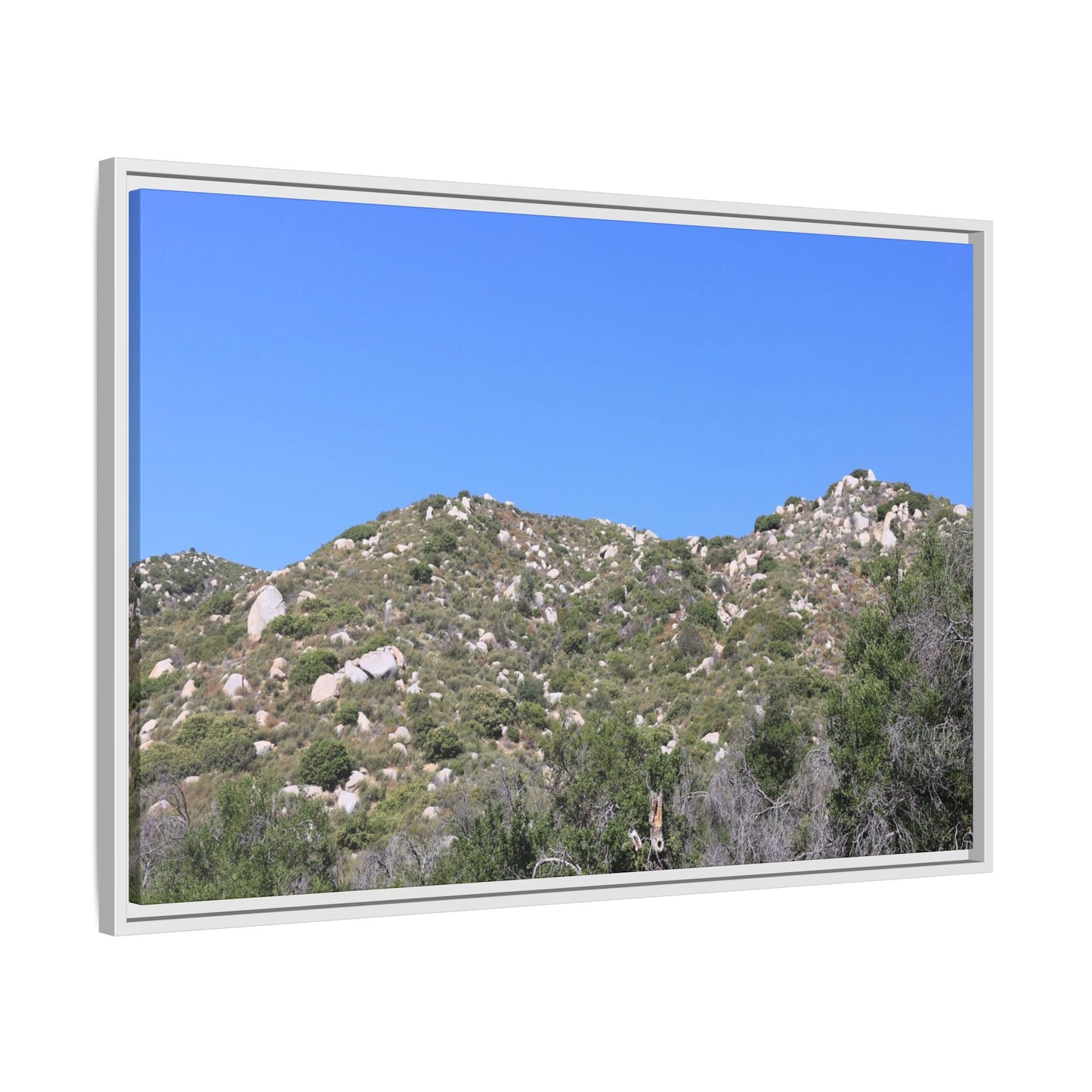 Sparse Vegetation - Unique Stretched Canvas Wall Art