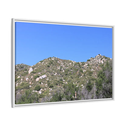 Sparse Vegetation - Unique Stretched Canvas Wall Art