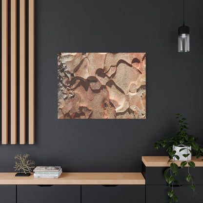 Terracotta Echoes - Unique Frameless Canvas Wall Art - Art By Earth