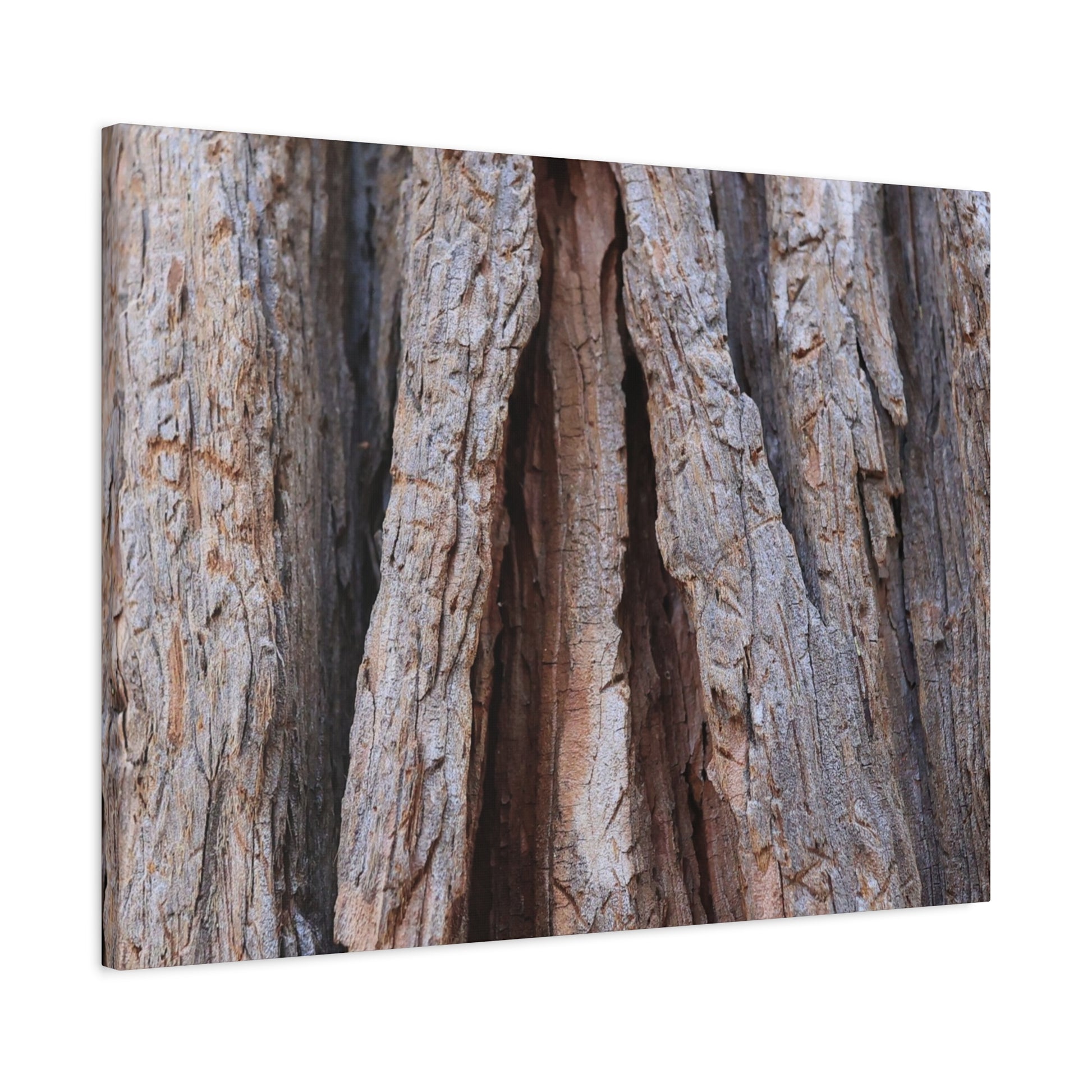 Fractured Skin of Time - Unique Frameless Canvas Wall Art - Art By Earth