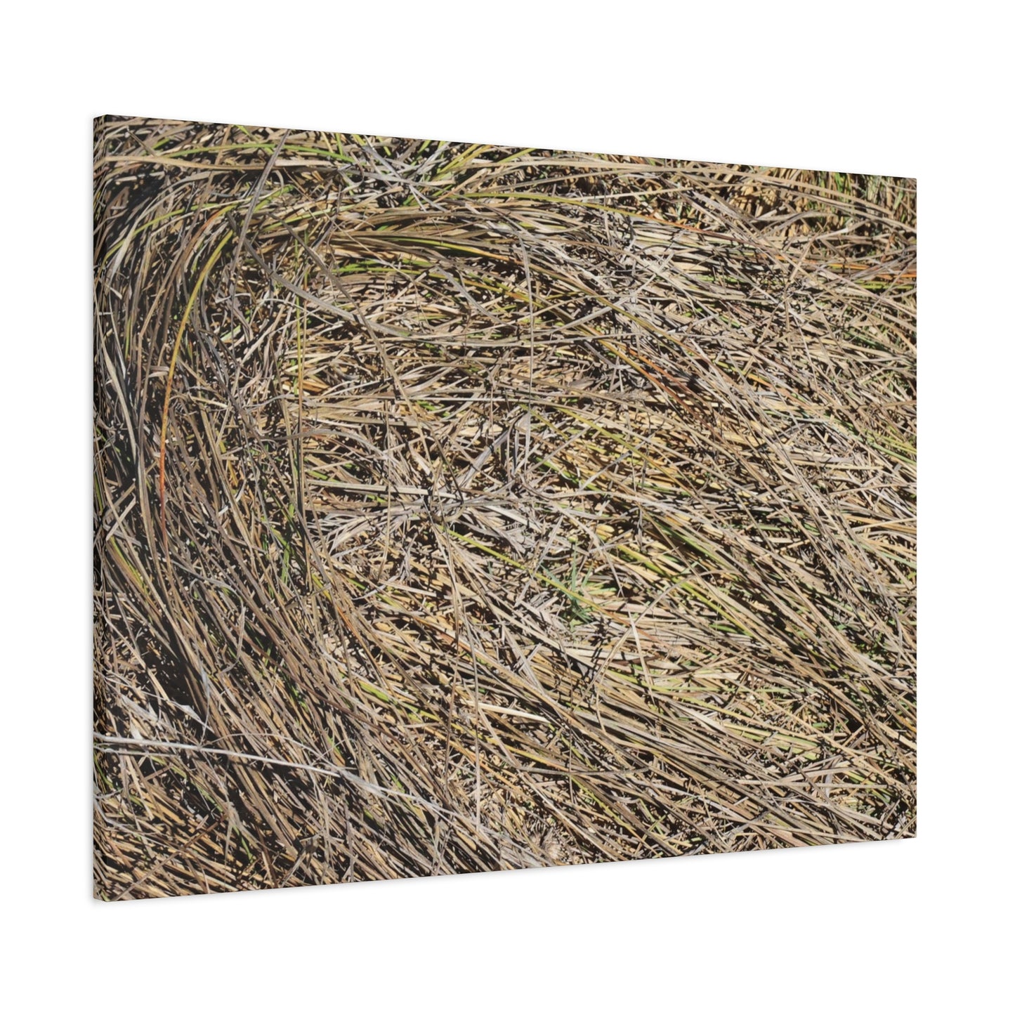 Tangled Hay - Unique Stretched Canvas Wall Art - Art By Earth