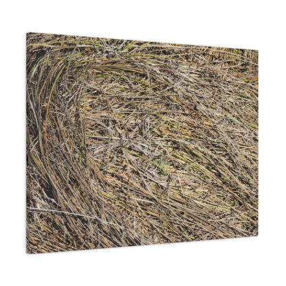 Tangled Hay - Unique Stretched Canvas Wall Art - Art By Earth