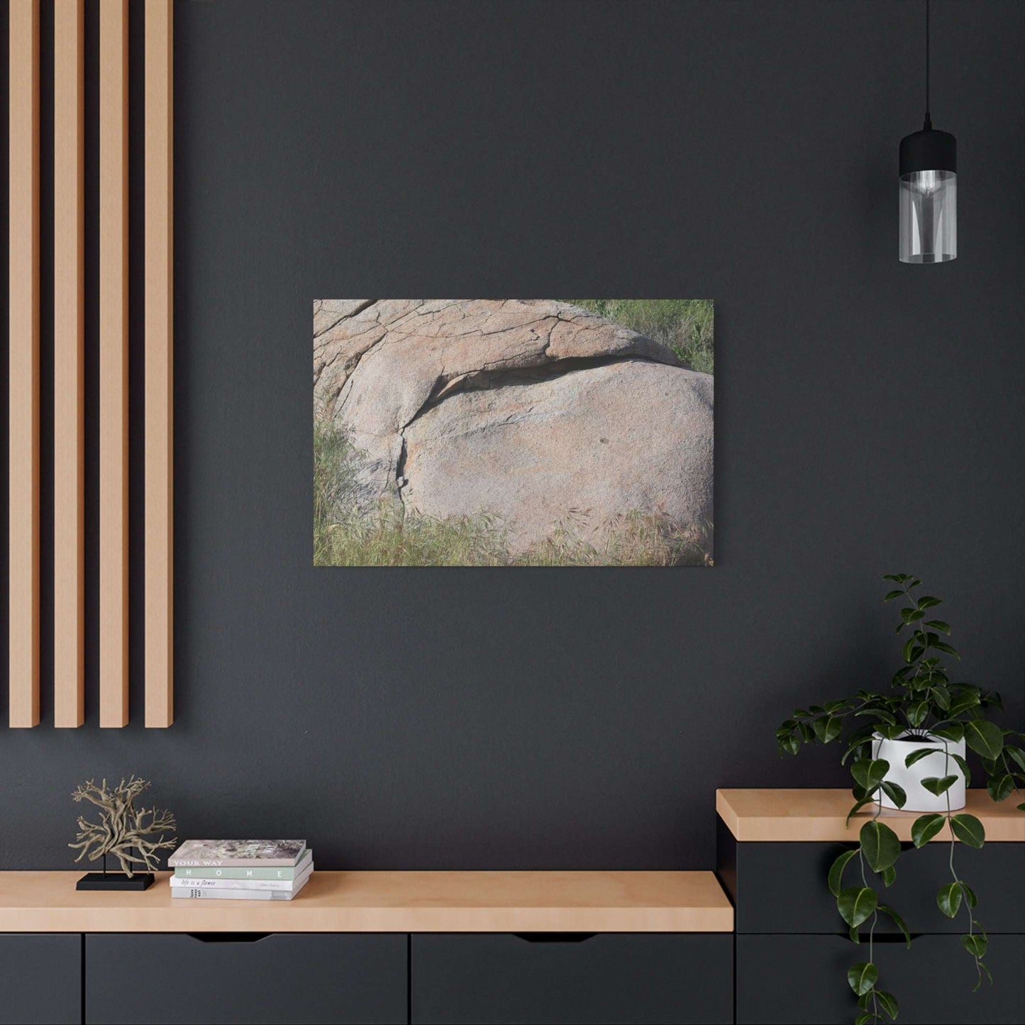 Granite Boulder in Desert Scrub - Unique Frameless Canvas Wall Art - Art By Earth