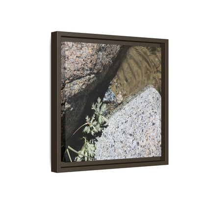 Resilience in Stone - Unique Stretched Canvas Wall Art - Art By Earth