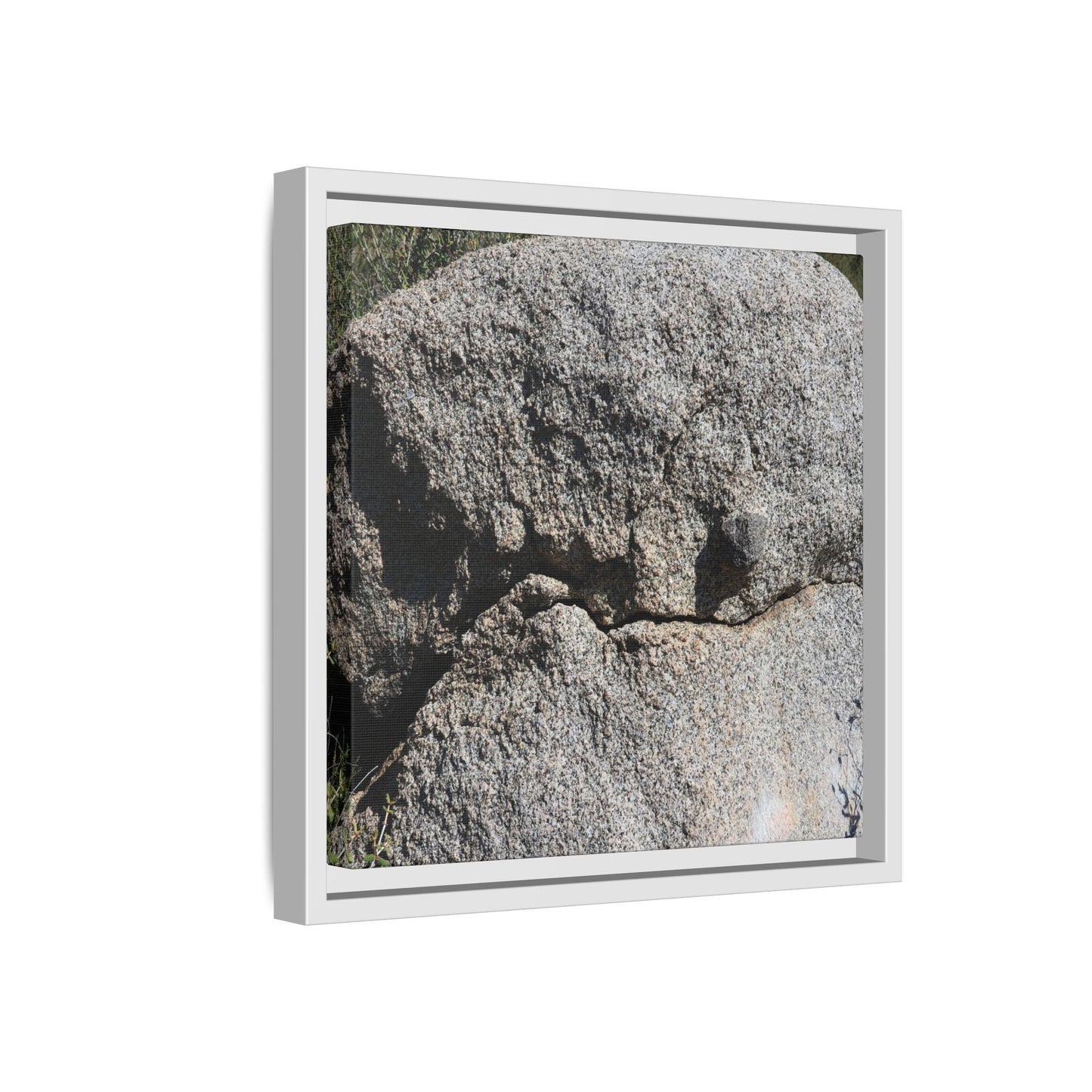 Stone Skull in Desert - Unique Stretched Canvas Wall Art
