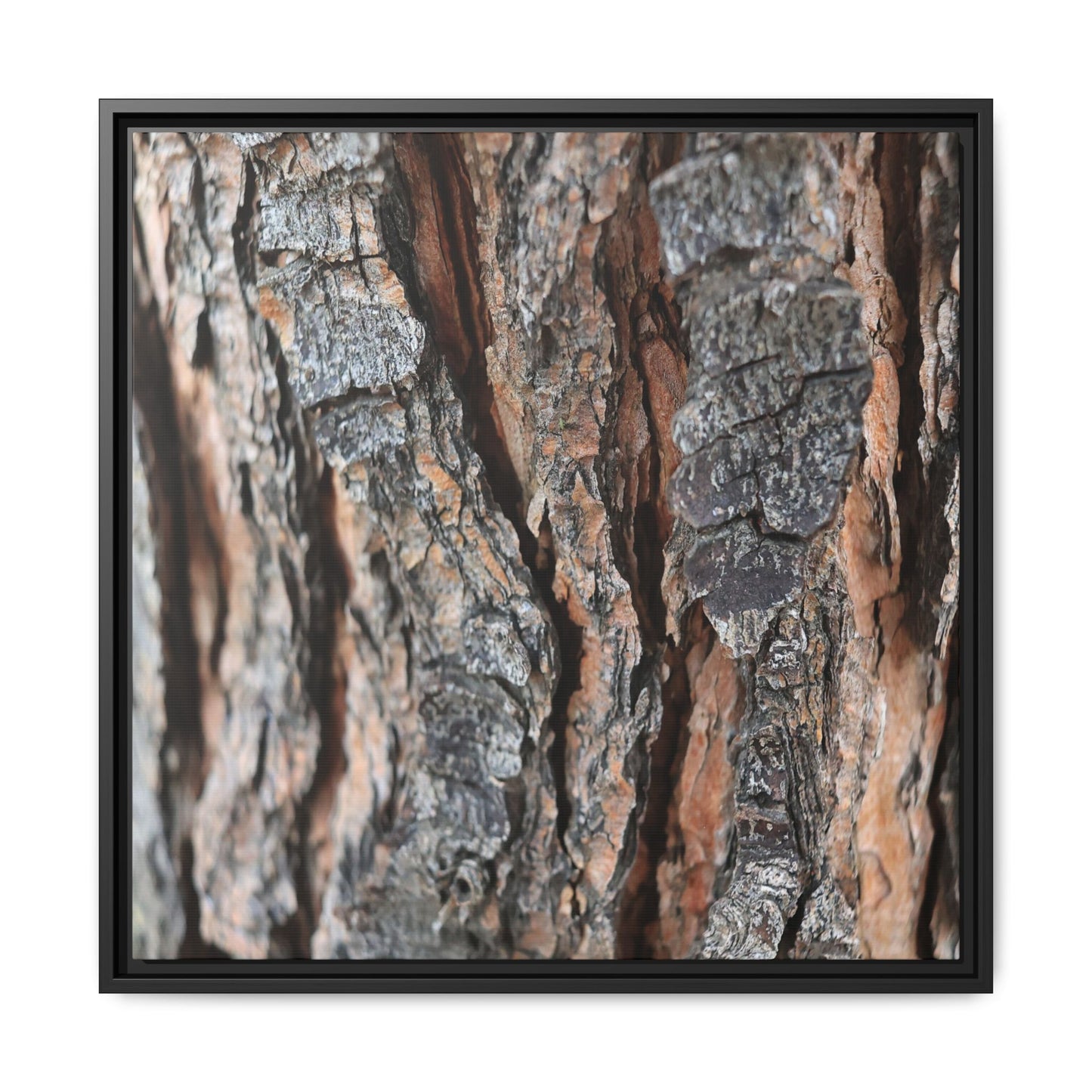 Fractured Nature - Unique Stretched Canvas Wall Art - Art By Earth