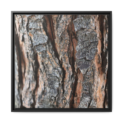 Fractured Nature - Unique Stretched Canvas Wall Art - Art By Earth