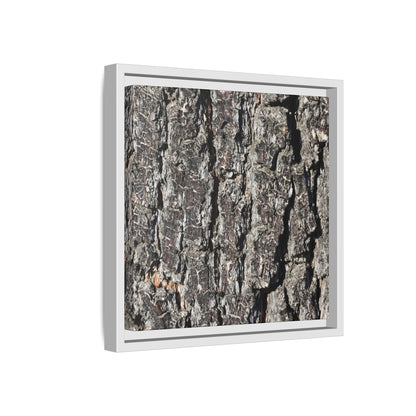 Bark Study in Gray - Unique Stretched Canvas Wall Art - Art By Earth