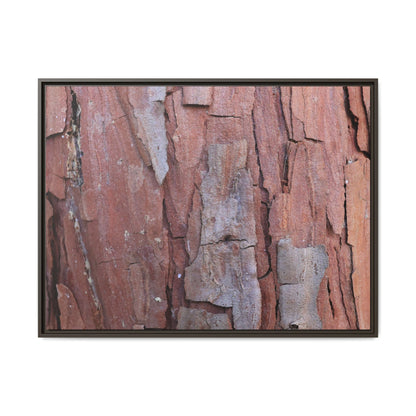 Peeling Bark - Unique Stretched Canvas Wall Art - Art By Earth