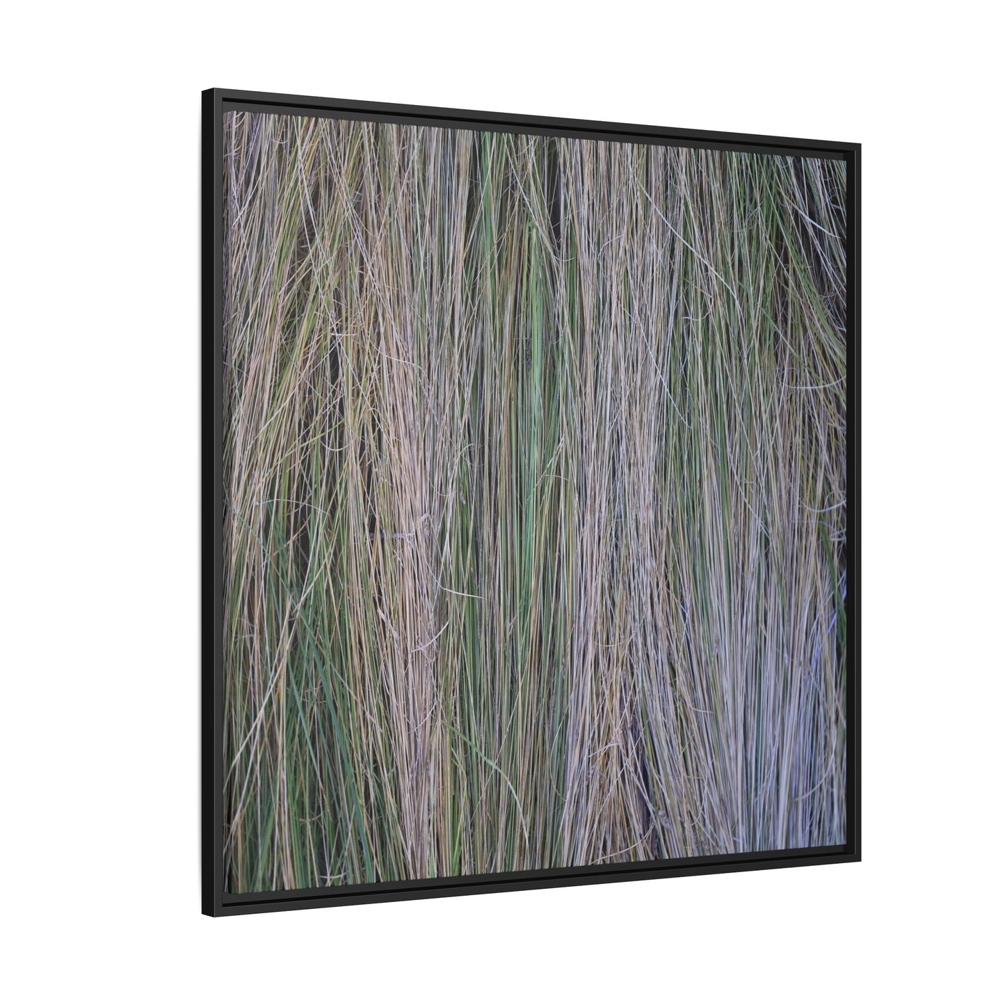 Whispers of Silver Grass - Unique Stretched Canvas Wall Art - Art By Earth