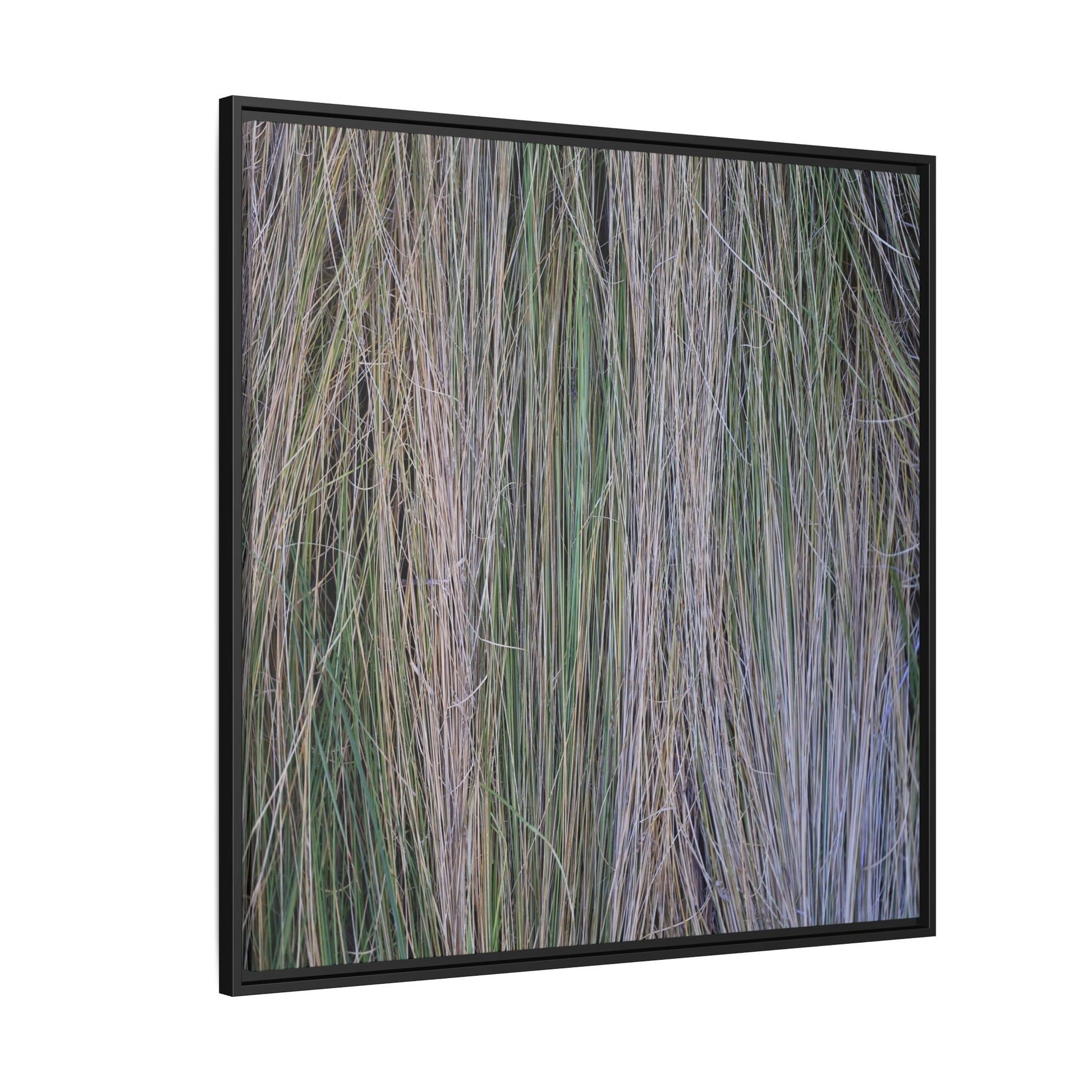Whispers of Silver Grass - Unique Stretched Canvas Wall Art - Art By Earth