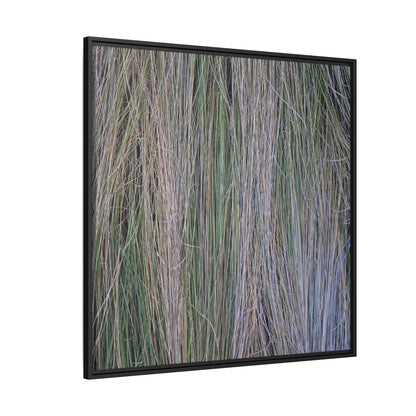 Whispers of Silver Grass - Unique Stretched Canvas Wall Art - Art By Earth