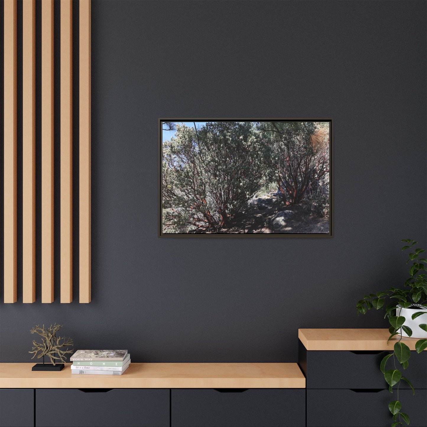 Desert Trail Through Blooming Manzanita - Unique Stretched Canvas Wall Art