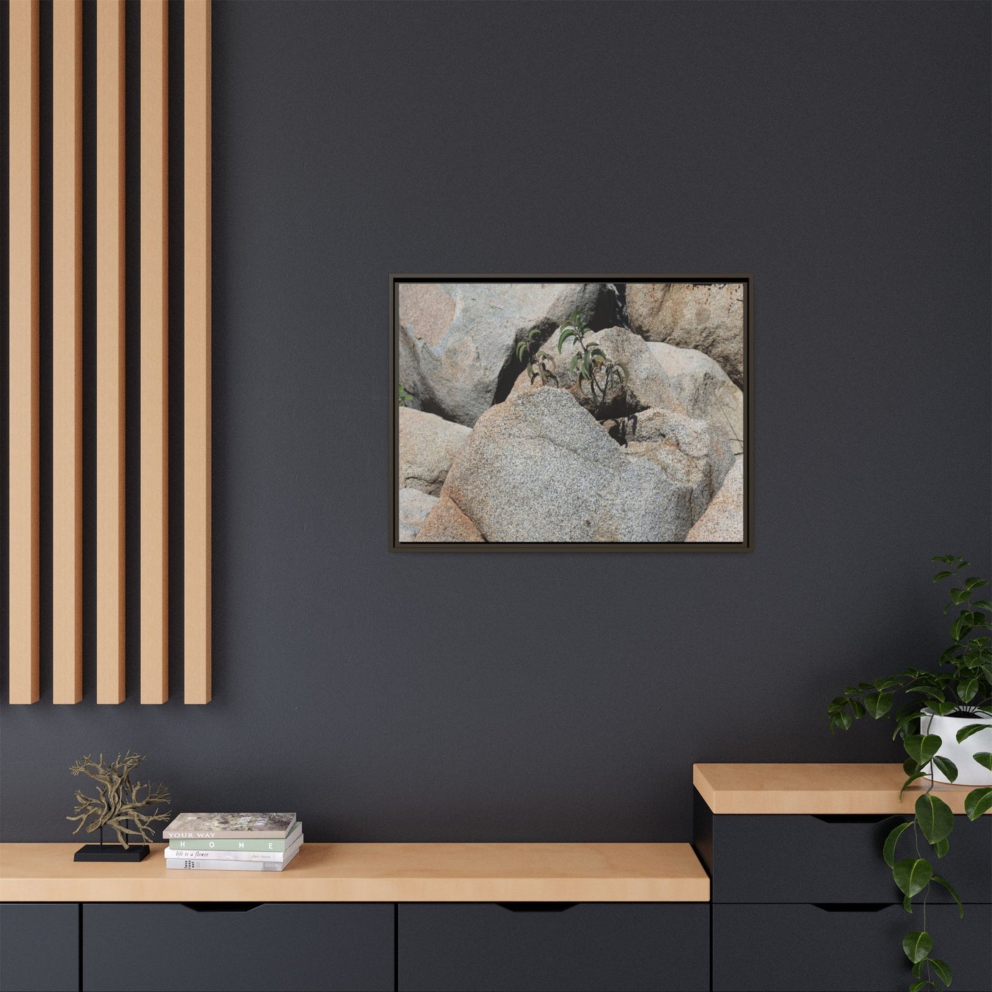 Desert Plant Thriving Among Rocks - Unique Stretched Canvas Wall Art