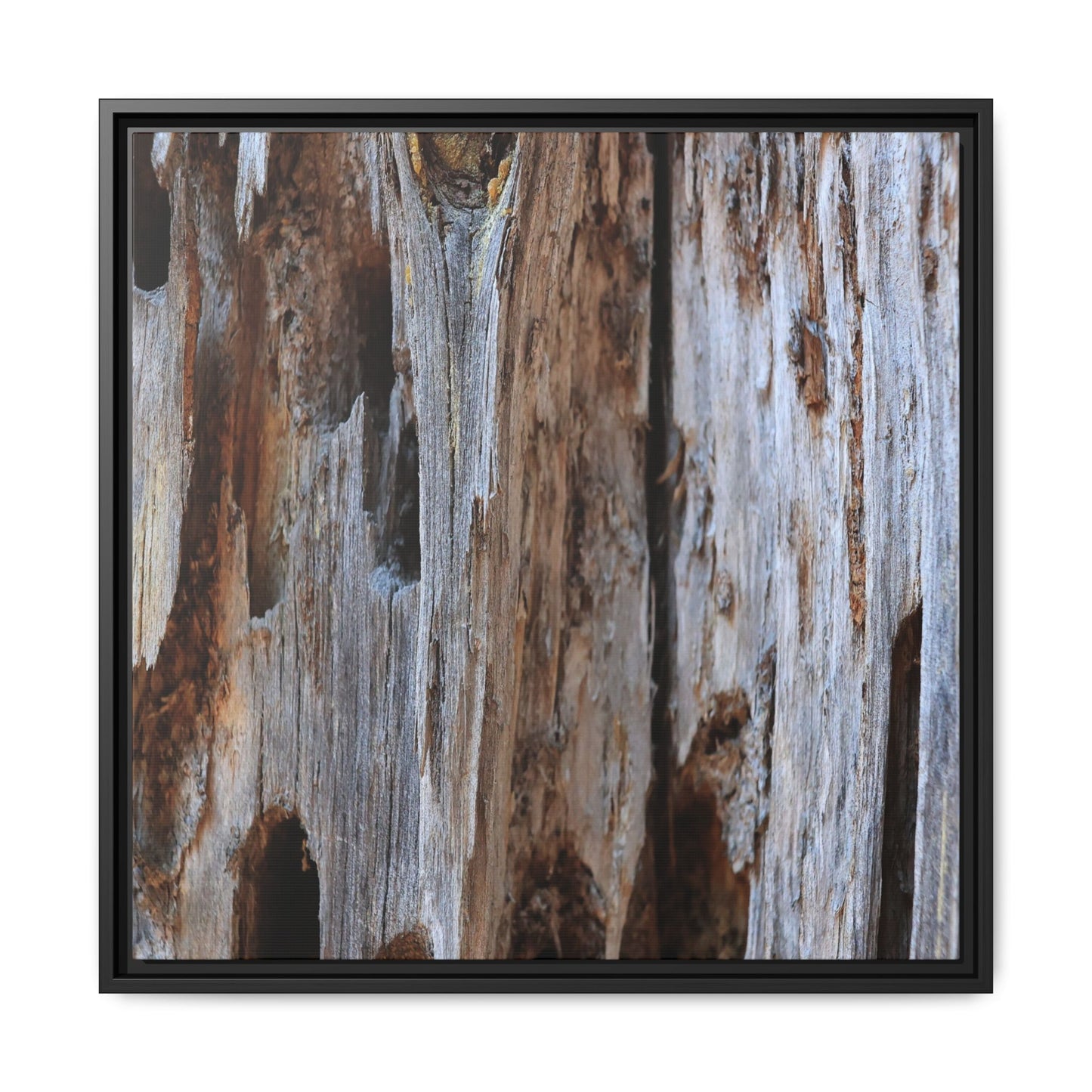 Decaying Splendor - Unique Stretched Canvas Wall Art - Art By Earth