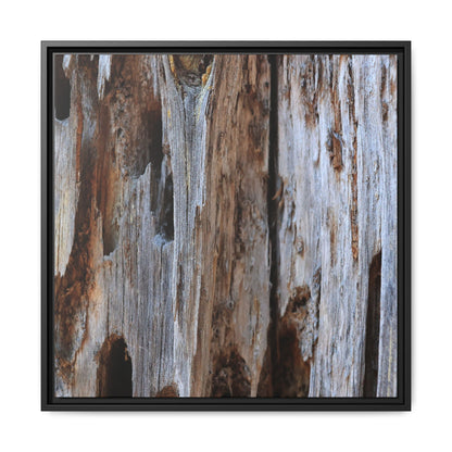 Decaying Splendor - Unique Stretched Canvas Wall Art - Art By Earth