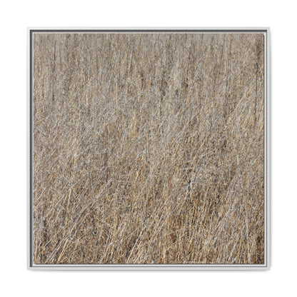 Dry Straw Symphony - Unique Stretched Canvas Wall Art - Art By Earth